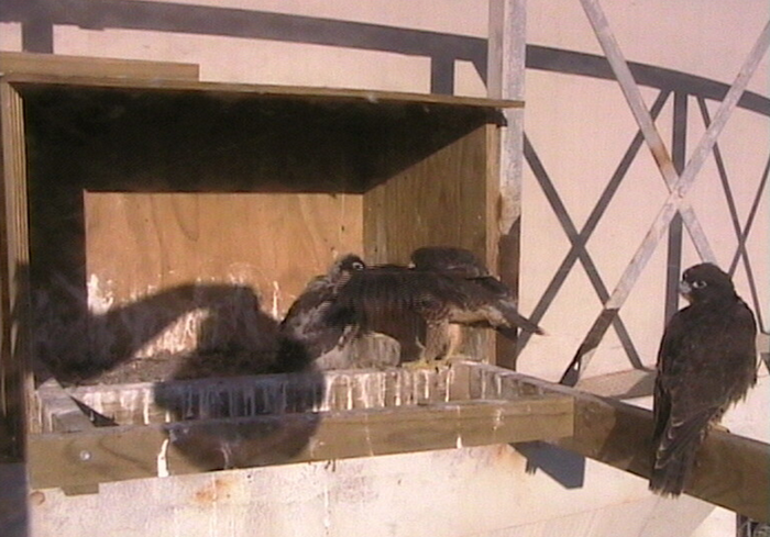 2009-11-08_212905.png