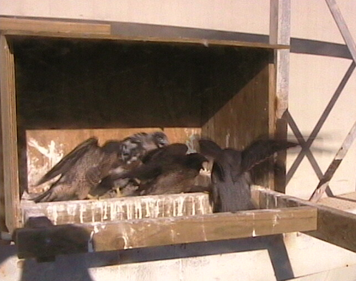 2009-11-08_221621.png