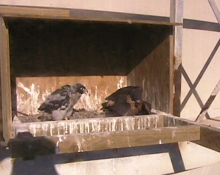 2009-11-08_221755.png