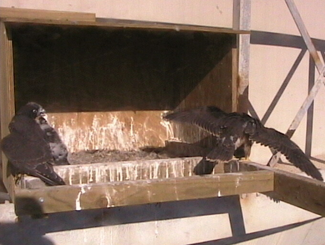 2009-11-08_223537.png