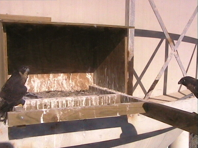 2009-11-08_224256.png