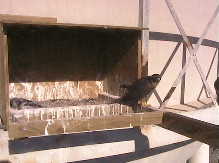 2009-11-08_224550.png