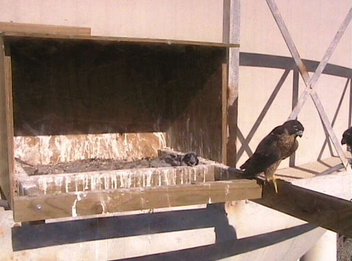 2009-11-08_225121.png