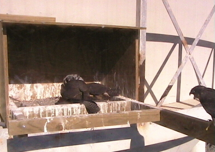 2009-11-08_225737.png