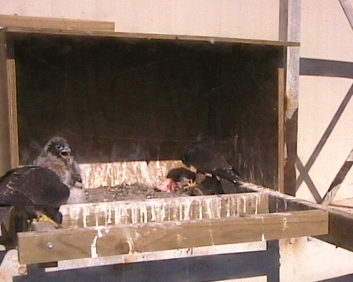 2009-11-08_230228.png