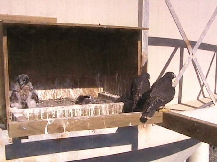 2009-11-08_231428.png