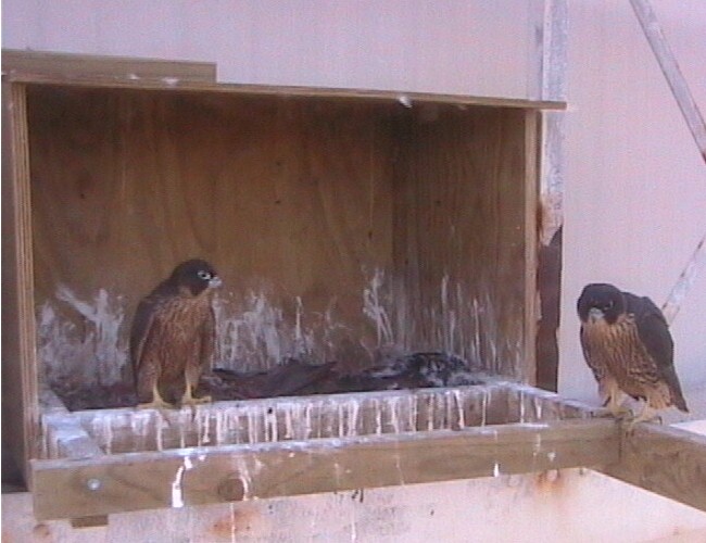 2009-11-09_074941.jpg