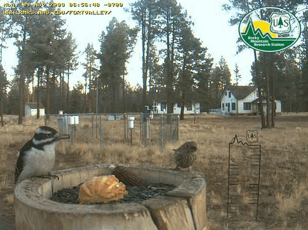 2009-11-09_145707.gif