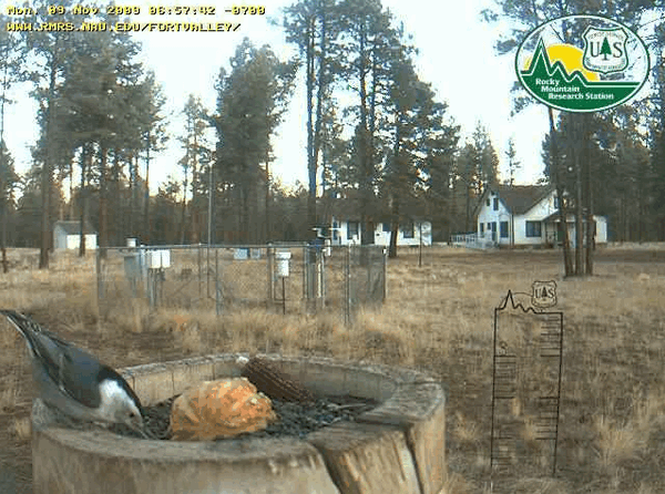 2009-11-09_145802.gif