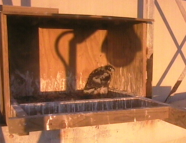 2009-11-09_202546.png