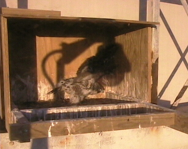 2009-11-09_204207.png