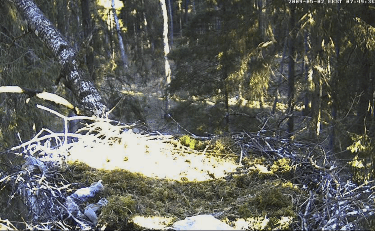 2009-05-02_065033.gif