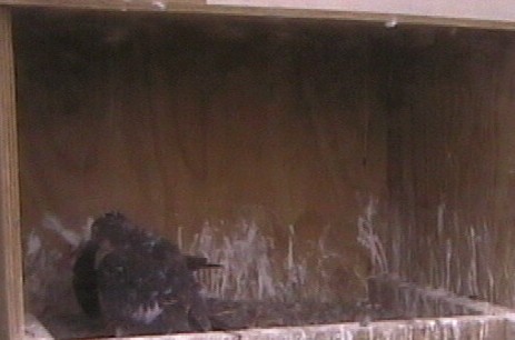 2009-11-11_215936.jpg