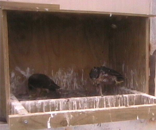 2009-11-11_230633.png