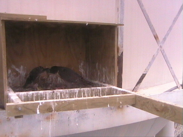 2009-11-11_231213.png