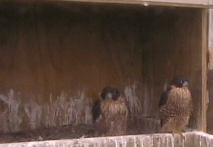 2009-11-12_070300.jpg