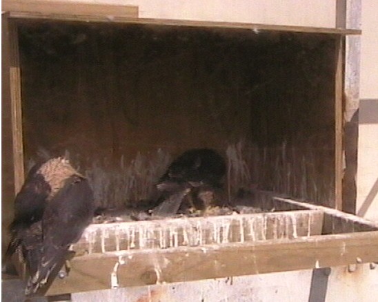 2009-11-13_000338.jpg