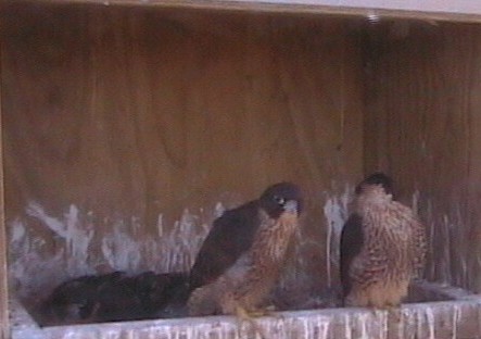2009-11-13_073805.jpg