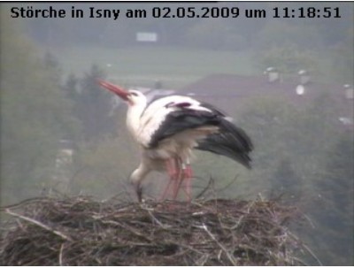 Isny2.jpg