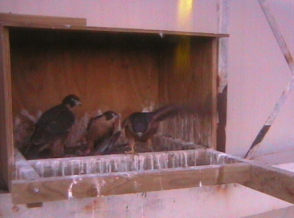 2009-11-13_195311.jpg