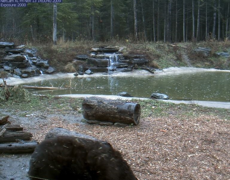 2009-11-13_205816.jpg