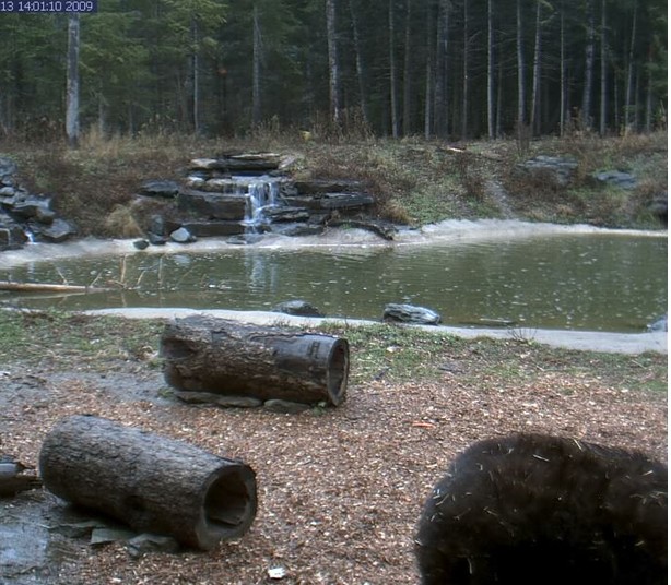 2009-11-13_205908.jpg