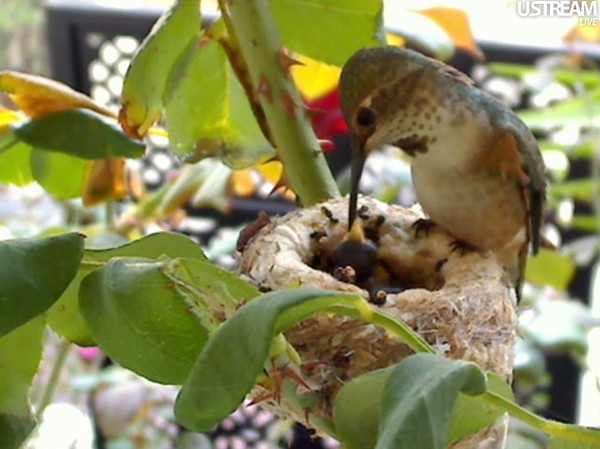 2009-11-14_155216.jpg