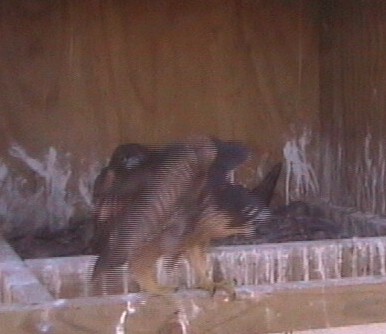 2009-11-15_074644.jpg