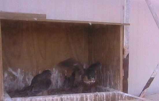 2009-11-15_091401.jpg