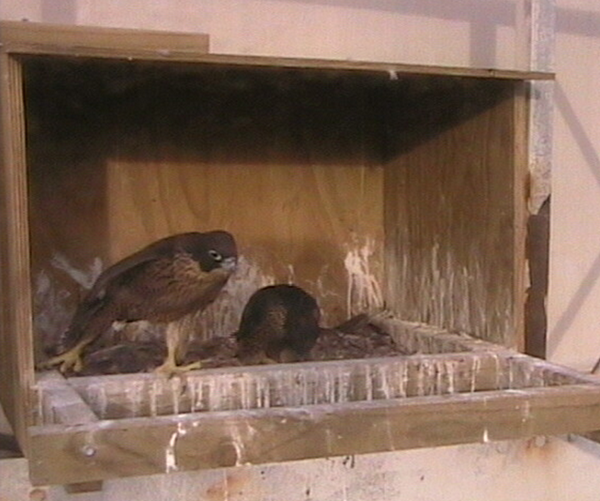 2009-11-15_211053.png