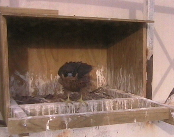 2009-11-15_215532.png