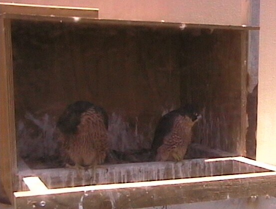2009-11-16_032255.jpg