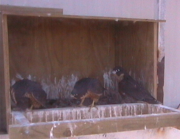 2009-11-16_063219.jpg