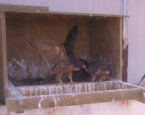 2009-11-16_063705.jpg