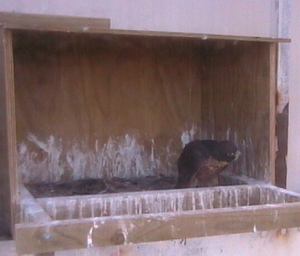 2009-11-16_083357.jpg