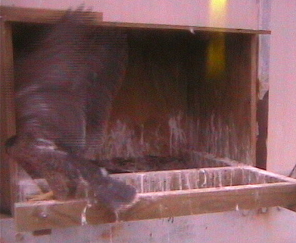 2009-11-16_213111.png