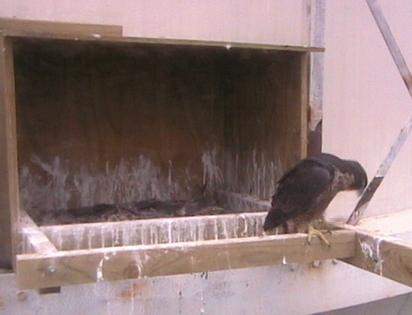 2009-11-16_213356.png
