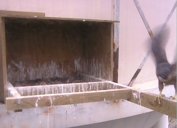 2009-11-16_213436.png
