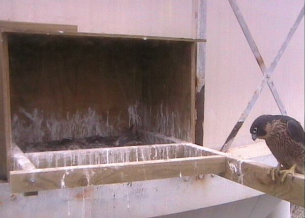 2009-11-16_213522.png