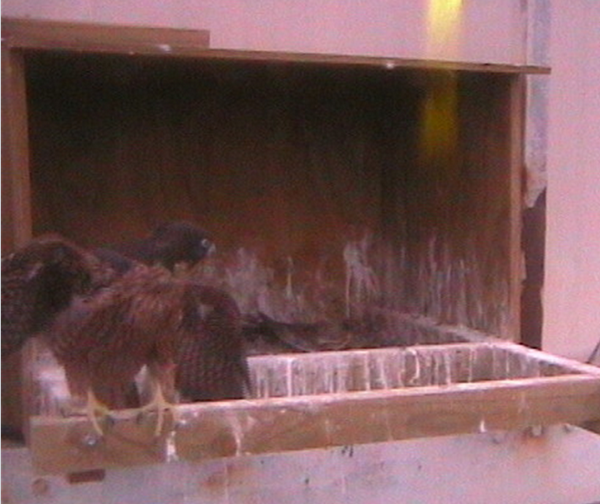2009-11-16_213151.png