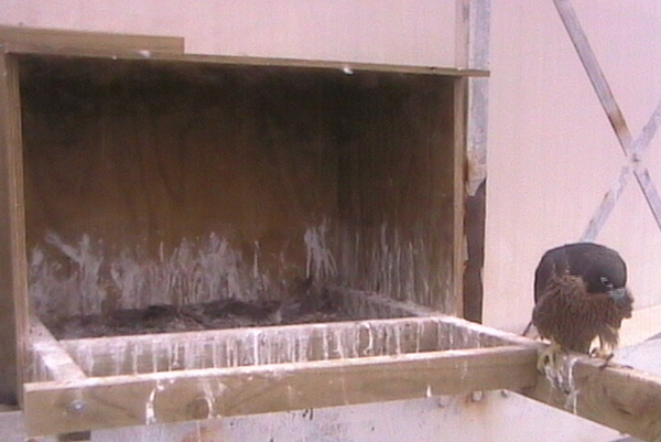 2009-11-16_215709.png