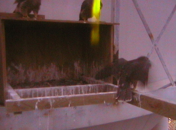 2009-11-17_202316.jpg