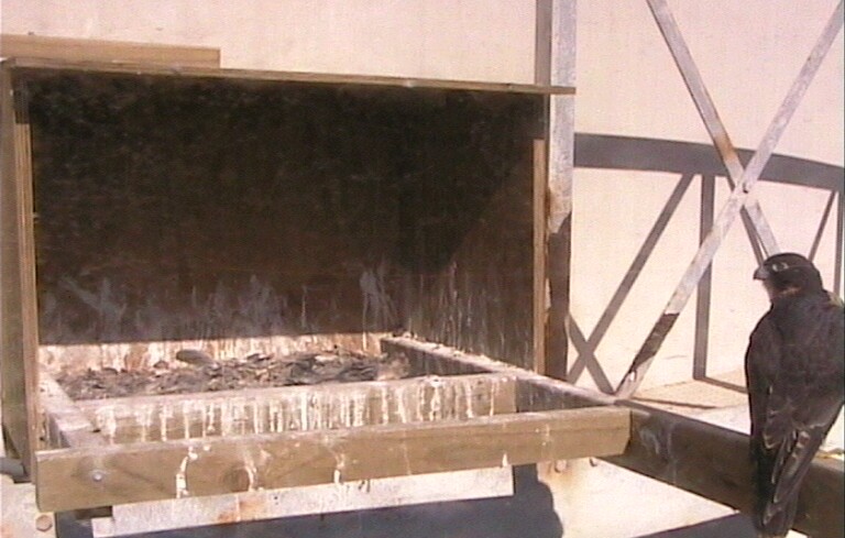 2009-11-17_230835.jpg