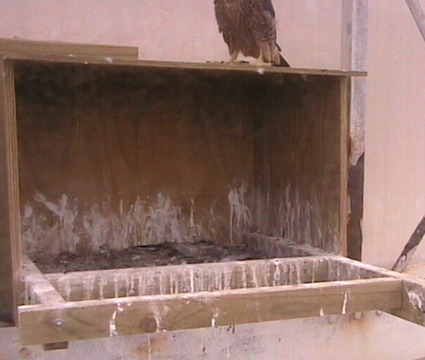 2009-11-18_055200.png