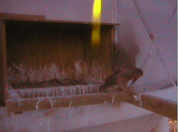 2009-11-18_214523.png