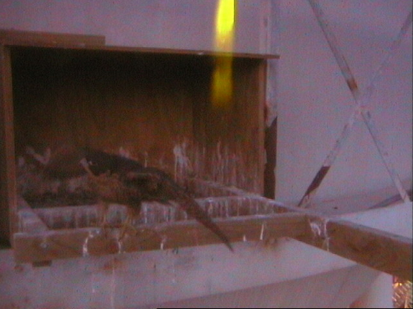 2009-11-18_214601.png