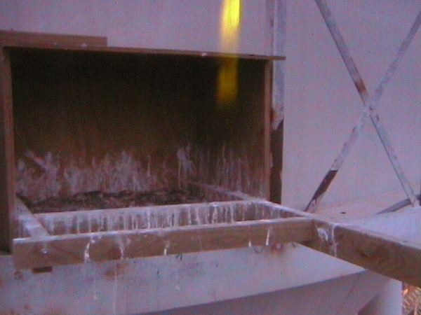 2009-11-19_194518.jpg