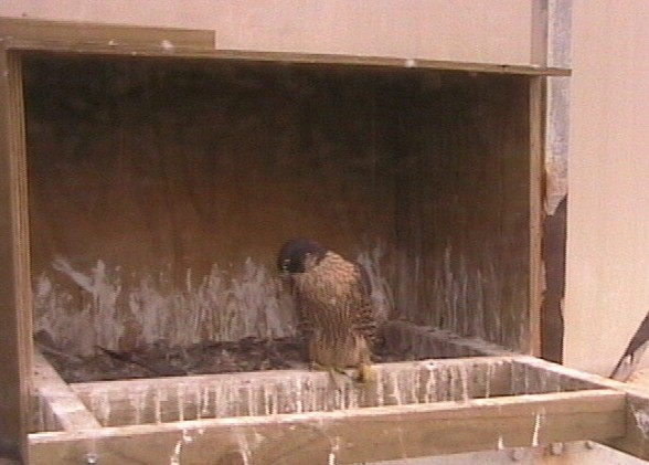 2009-11-20_044048.jpg