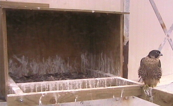 2009-11-20_045014.jpg