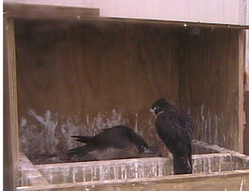 2009-11-21_080534.jpg